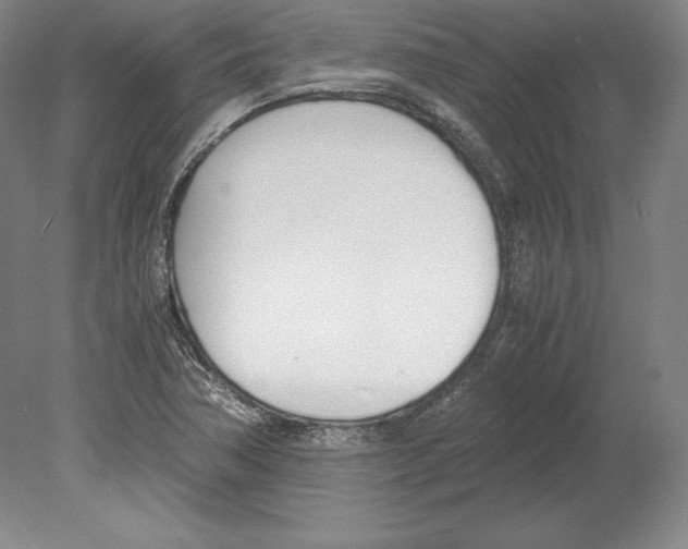 X0000080171362200701051620