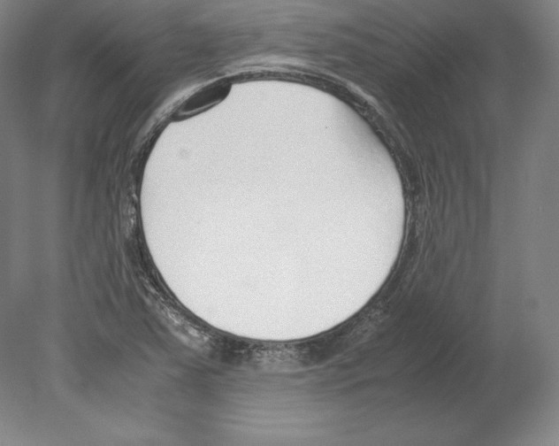 X0000080171363200701051620