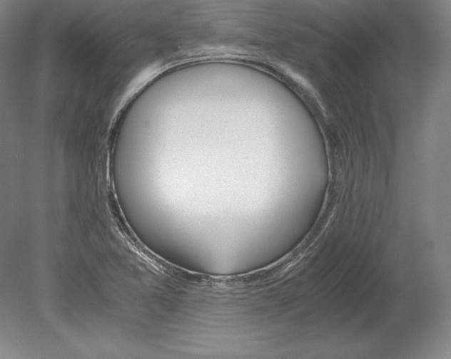 X0000080171365200701051620