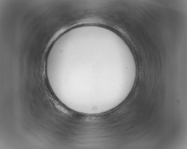 X0000080171366200701051620