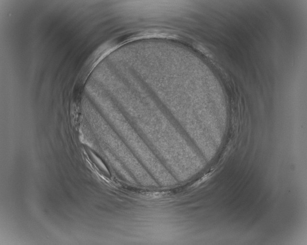 X0000080171369200701051620