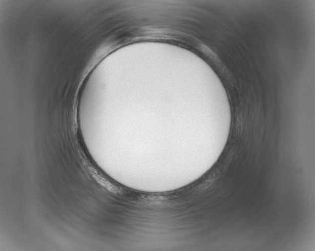 X0000080171370200701051620