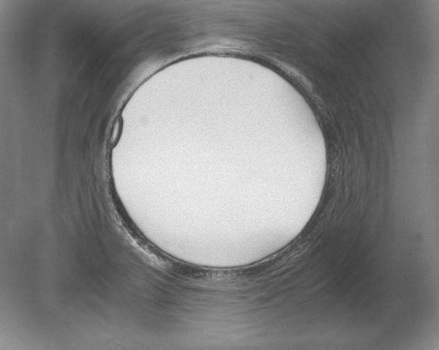 X0000080171375200701051620