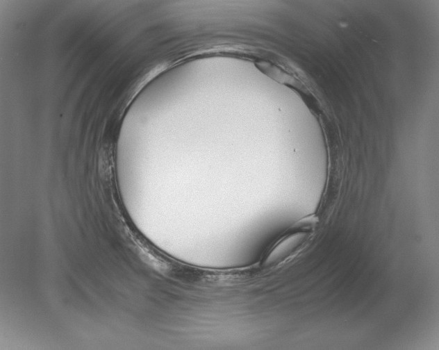 X0000080171377200701051620