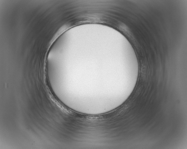 X0000080171378200701051620