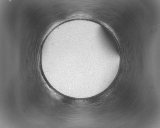 X0000080171383200701051620