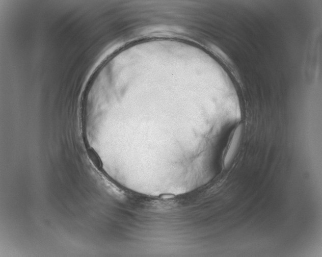 X0000080171384200701051620
