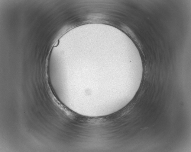 X0000080171386200701051620
