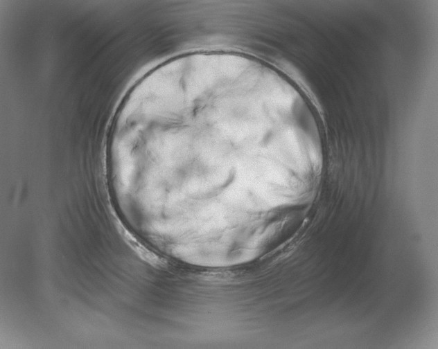 X0000080171388200701051620