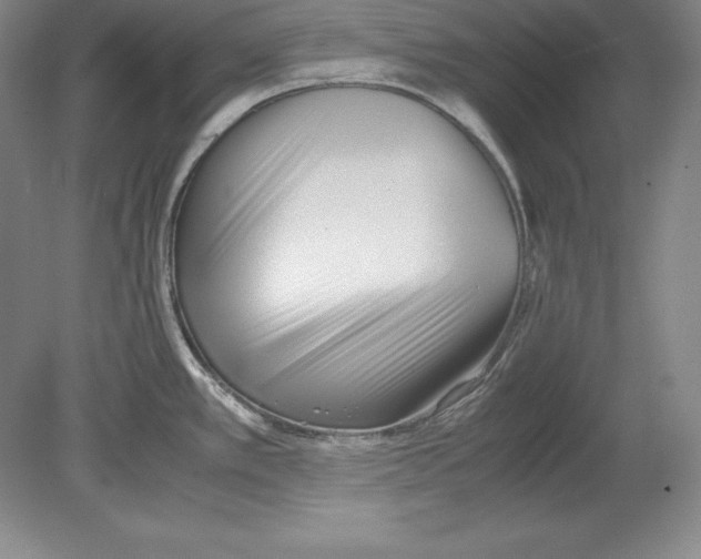 X0000080171389200701051620