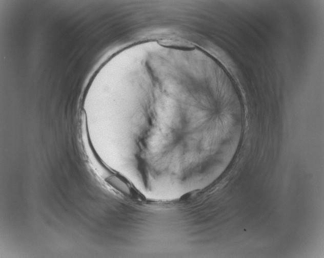 X0000080171392200701051620