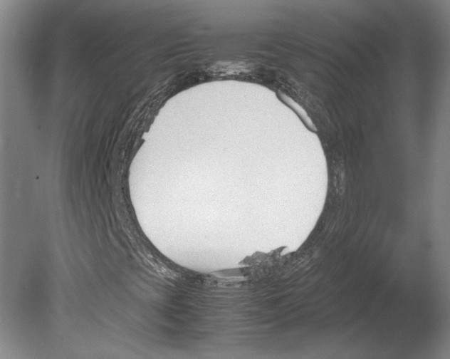 X0000080171393200701051619