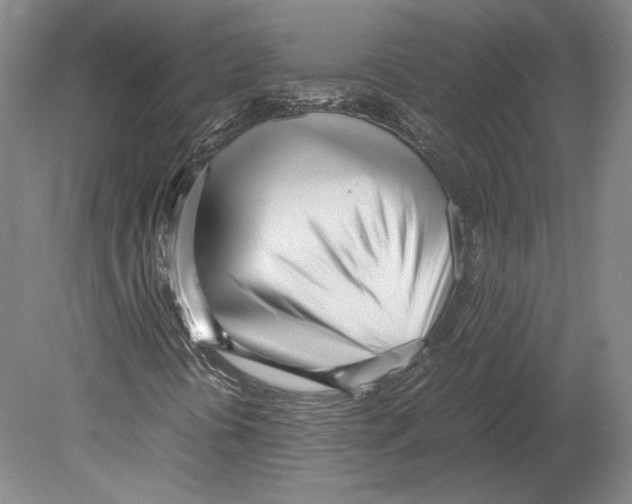 X0000080171394200701051619