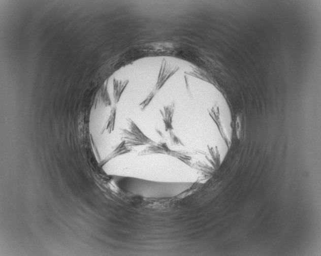 X0000080171395200701051619