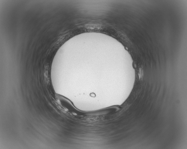 X0000080171396200701051619