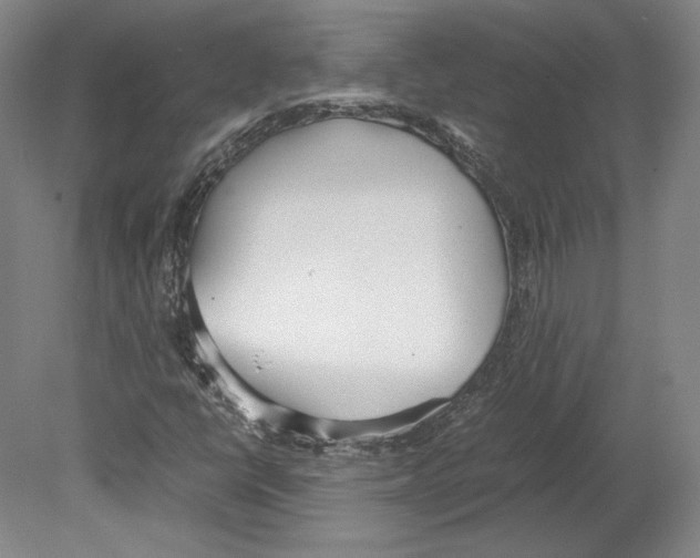 X0000080171398200701051619