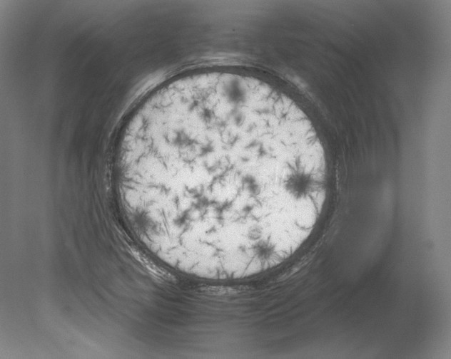 X0000080171405200701051619