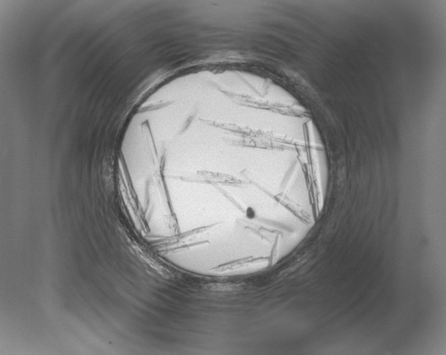 X0000080171409200701051619