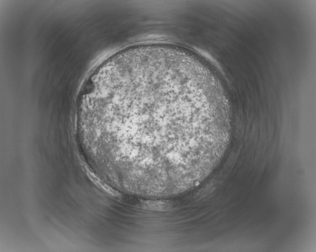 X0000080171413200701051619