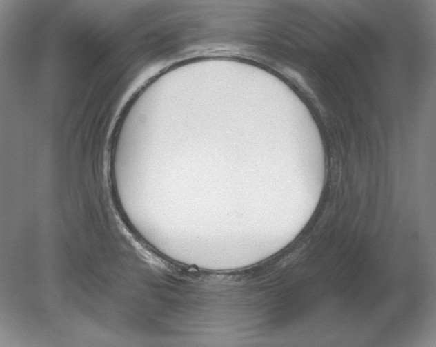 X0000080171424200701051619