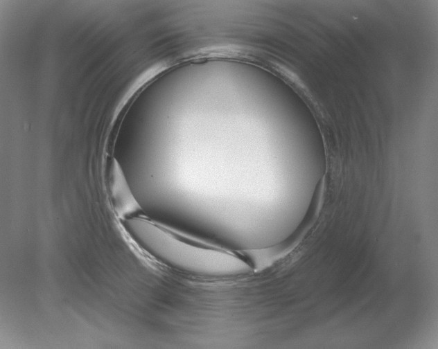 X0000080171426200701051619