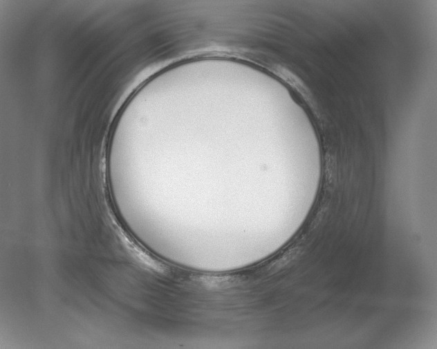 X0000080171428200701051619