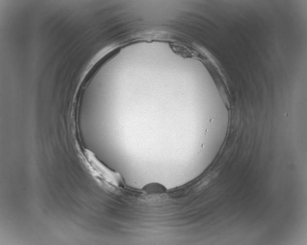 X0000080171434200701051620