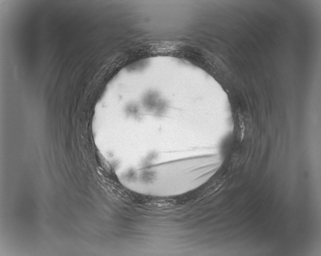 X0000080171441200701051619