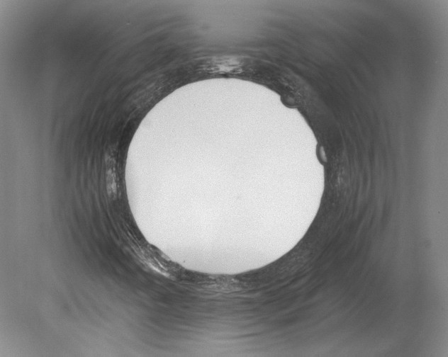 X0000080171442200701051619
