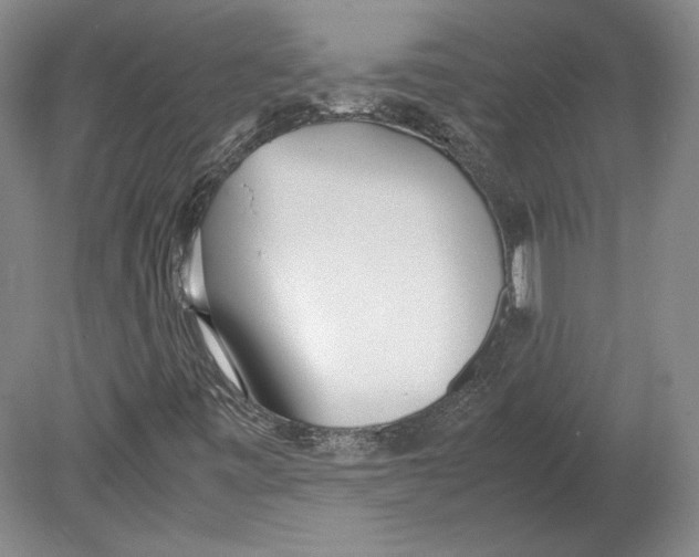 X0000080171443200701051619