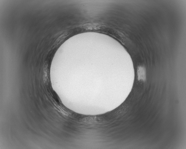 X0000080171444200701051619