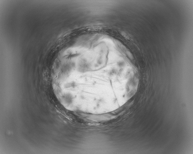 X0000080171445200701051619