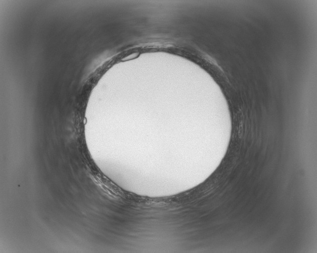 X0000080171448200701051619