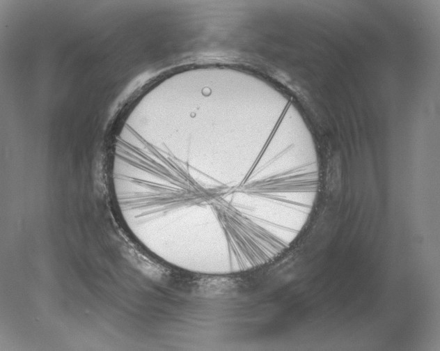 X0000080171454200701051619