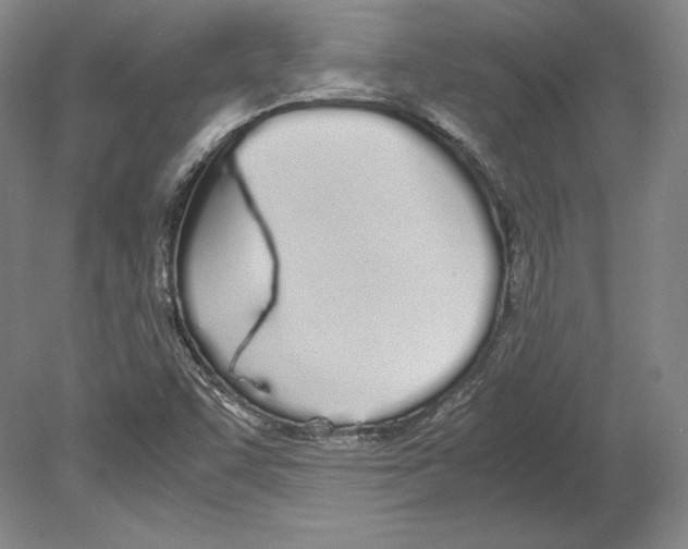 X0000080171455200701051619