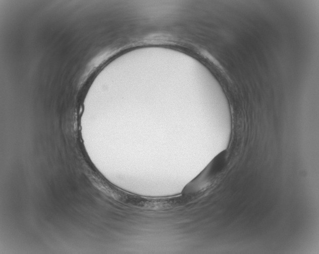 X0000080171461200701051619