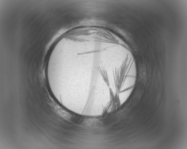 X0000080171462200701051619