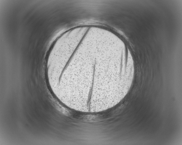 X0000080171463200701051619