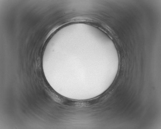 X0000080171465200701051618