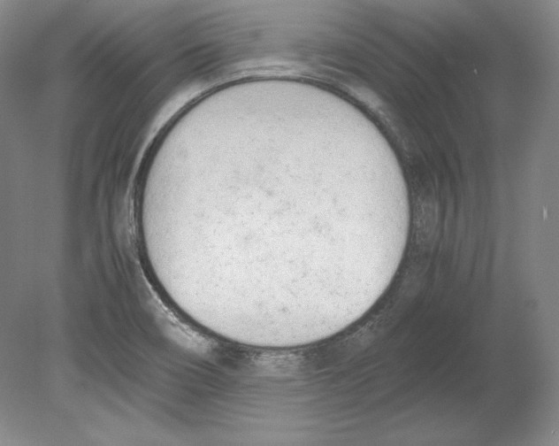 X0000080171466200701051618