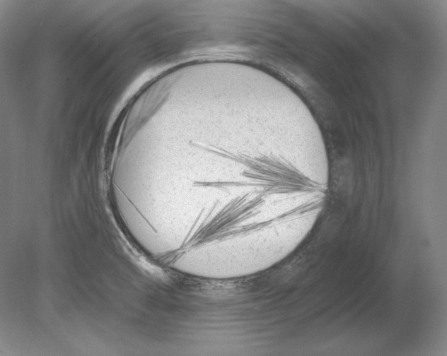 X0000080171470200701051618