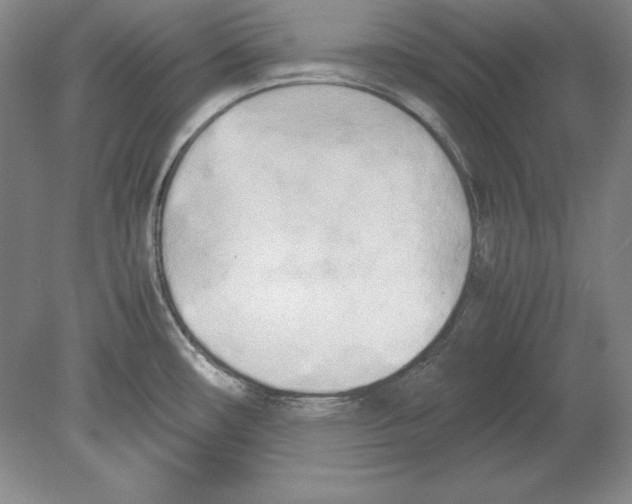X0000080171482200701051618