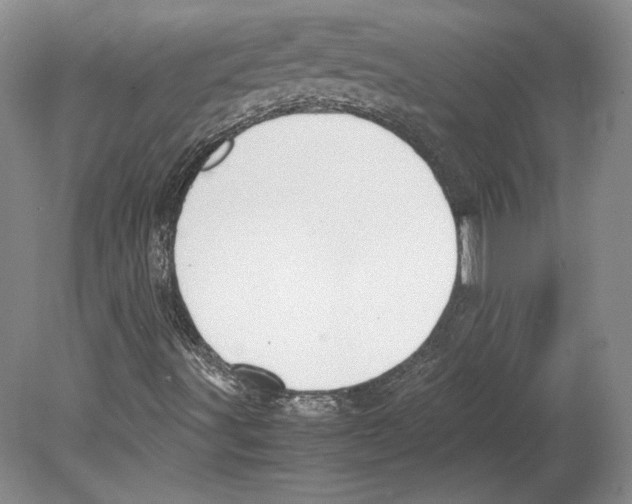 X0000080171491200701051617