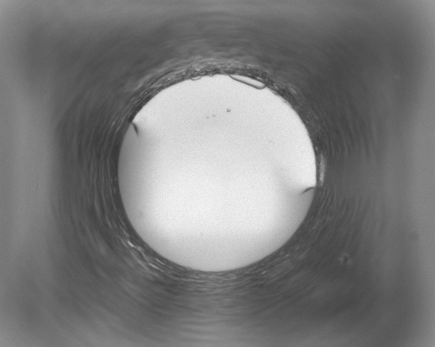 X0000080171492200701051617