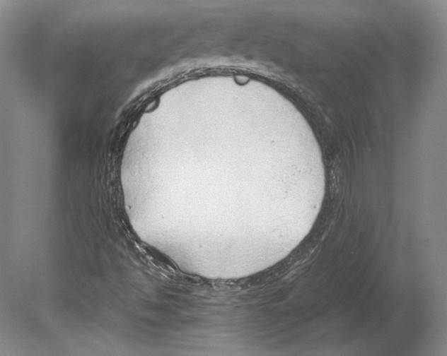 X0000080171494200701051617