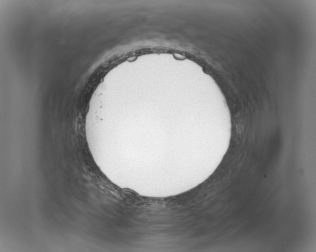 X0000080171495200701051617