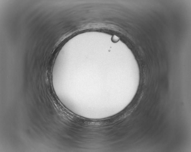 X0000080171497200701051617