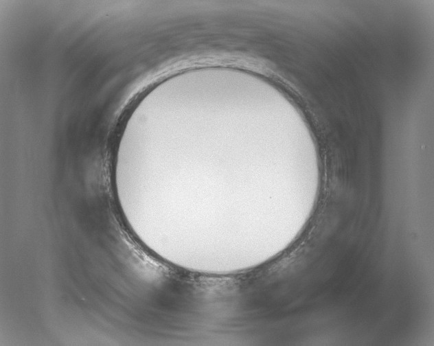 X0000080171498200701051617