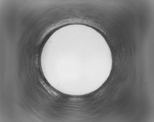 X0000080171499200701051617