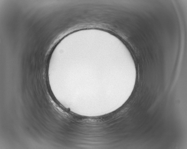 X0000080171500200701051617